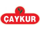 ÇAYKUR